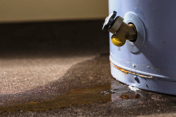 Best Mold removal after water damage  in South Monrovia Island, CA