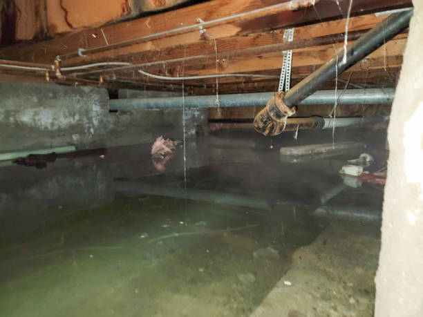 Best Flooded house restoration  in South Monrovia Island, CA