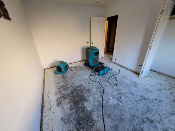  South Monrovia Island, CA Water damage restoration Pros
