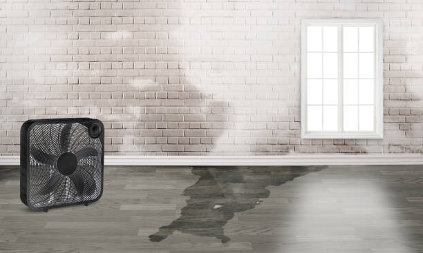 Best Commercial water damage restoration  in South Monrovia Island, CA