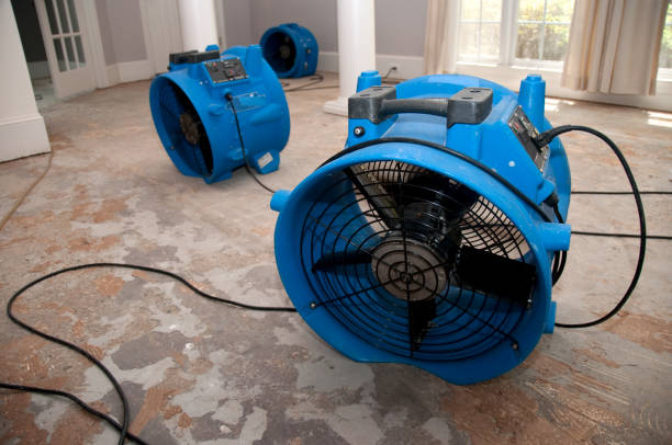 Best Water damage contractors near me  in South Monrovia Island, CA
