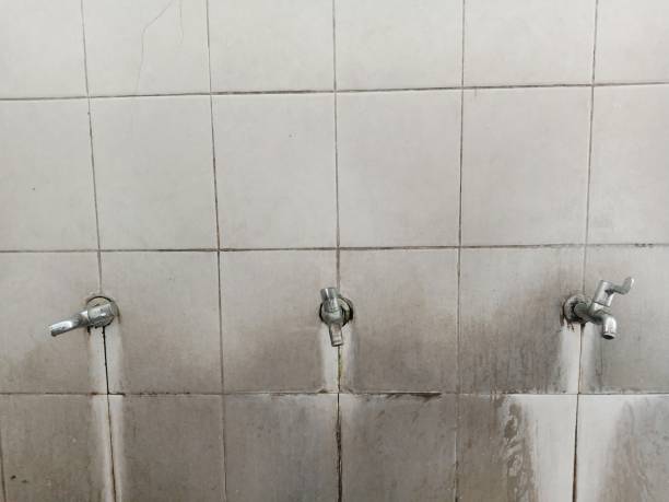 Professional Water damage restoration in South Monrovia Island, CA