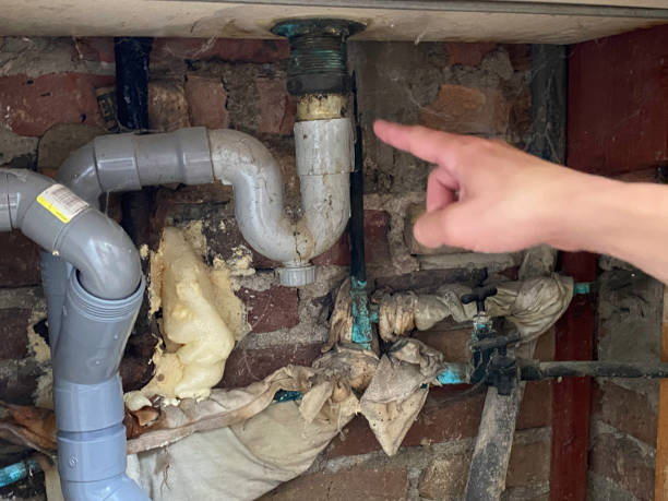 Best Residential water damage restoration  in South Monrovia Island, CA