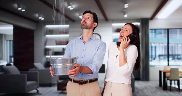 Best Flooded house restoration  in South Monrovia Island, CA