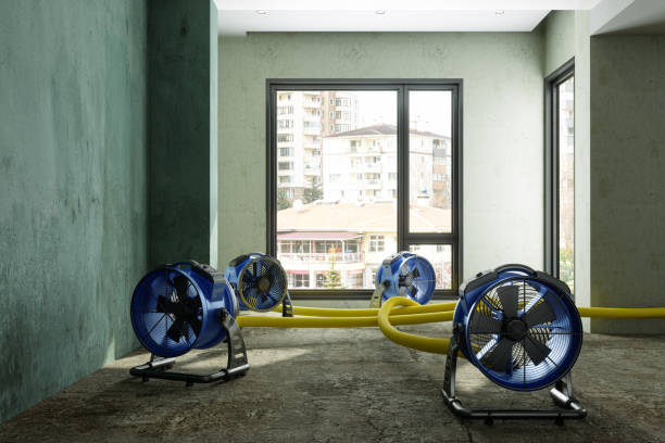 Best Water damage restoration near me  in South Monrovia Island, CA